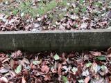 image of grave number 907882